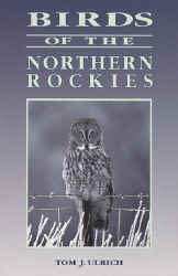 BIRDS OF THE NORTHERN ROCKIES.